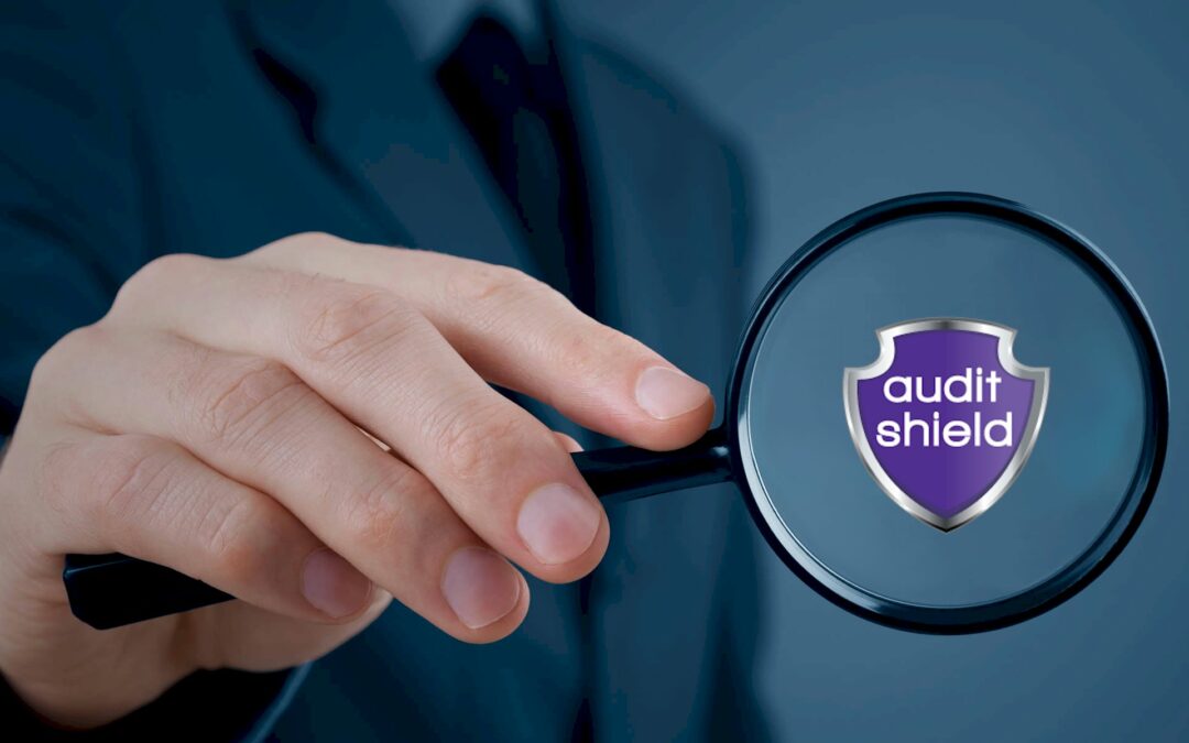 We are commencing a partnership with Audit Shield